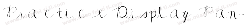 Practice Display Pan字体转换